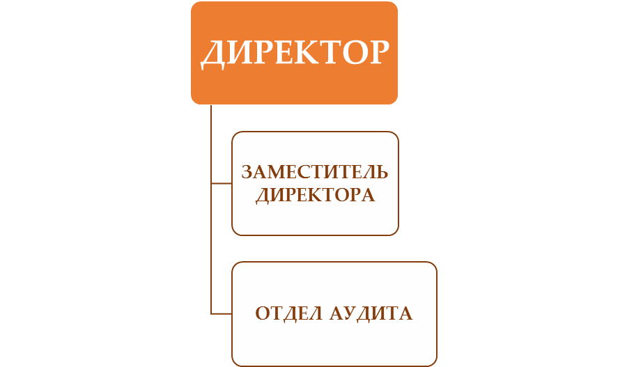 Структура организации ФИН АУДИТ